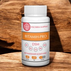 ВІТАМІН PRO – ЗБАЛАНСОВАНИЙ КОМПЛЕКС ДЛЯ ЩОДЕННОГО ПІДТРИМАННЯ ОРГАНІЗМУ