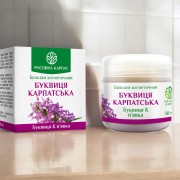 БАЛЬЗАМ БУКВИЦЯ КАРПАТСЬКА